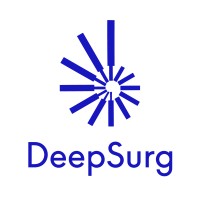 DeepSurg logo - Similar company to Loopboard.Io