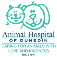 Animal Hospital Of Dunedin logo - Similar company to Ascendvets