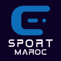 E-BLUE MAROC logo - Similar company to Med Factor
