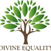 DIVINE EQUALITY logo - Similar company to Fission Consulting