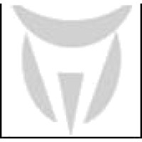 Topnotch Placements logo - Similar company to Potential India
