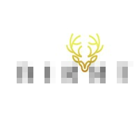 Nikxt logo - Similar company to Nikxit Technology