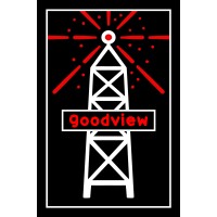 goodviewgames logo - Similar company to Trajectile Interactive