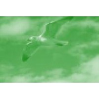 Business Energy Assessment