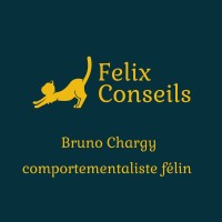 Felix Conseils logo - Similar company to Felix Immobilier