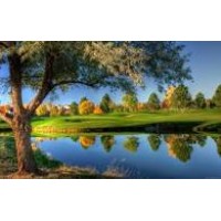 Real Estate Services logo - Similar company to Re/Max Midlands