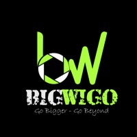 Bigwigo Production & Media Agency logo - Similar company to Pixalytix Digital Solutions Llp