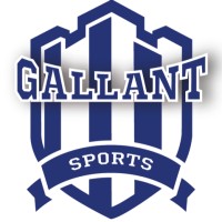 Gallant Sports India logo - Similar company to Syncotts International