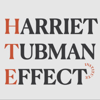 Harriet Tubman effect logo - Similar company to Debofsky Law - Erisa & Disability Insurance Attorneys