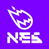 NES logo - Similar company to Gamertag