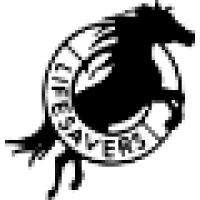 Lifesavers Wild Horse Rescue