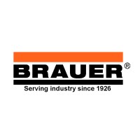 Brauer Ltd logo - Similar company to Apoio Forros & Divisórias Ltda.
