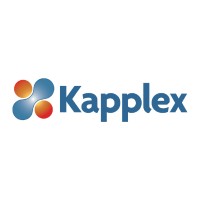 Kapplex Inc logo - Similar company to Layerwise