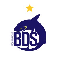 BDS Archi Marseille logo - Similar company to 3I Architectes