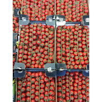 ORTOFRUTTA AD HOC logo - Similar company to Overlux® - Smart Efficiency Network
