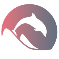 Sotalya Sàrl logo - Similar company to Visiowave