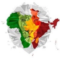 India Africa Strategic Forum logo - Similar company to Tim Network