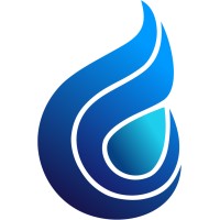 Ignis Solutions logo - Similar company to Ecoa Central