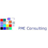 Pmi Consulting