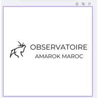 AMAROK MAROC logo - Similar company to Criscut