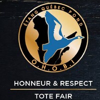 Ohobi / Ordre Honorable de l'Oie Bleue International / Blue Goose logo - Similar company to Aespiq