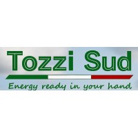 Tozzi Sud S.p.A logo - Similar company to Tozzi Group