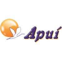 Apui Taxi Aereo logo - Similar company to Rico Táxi Aéreo