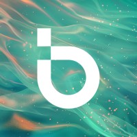 Batch Systems Inc logo - Similar company to Bit Brothers