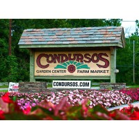 CONDURSOS GARDEN CENTER & FARM MARKET, INC. logo - Similar company to Overdevest Nurseries
