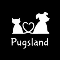 Pugsland logo - Similar company to Aspirio
