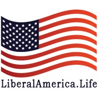 Liberal America logo - Similar company to Prorisk Group/ Security And Consulting Services/ Risk Management And Investigations In Latin America