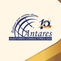 ANTARES AUDITORES CONSULTORES SAS logo - Similar company to Wander Group