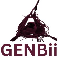 GENBii ገንቢ logo - Similar company to Saba