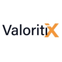 ValoritiX GmbH & Co.KG logo - Similar company to Rentall.Cz