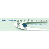 Haukes Labour N.V. logo - Similar company to Haukes Construction N.V.