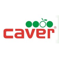 CAVER EXPLOTACIONES Y SERVICIOS SL logo - Similar company to Vgi Activos Slu