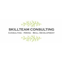 Skillteam Consulting logo - Similar company to Accfin Outsourcing