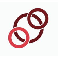Basic Search Consultancy logo - Similar company to Intoco™