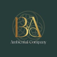 B&A Ambiental Company