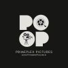 Primeplex Pictures logo - Similar company to Studio Rastarang