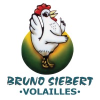 Bruno Siebert S.A logo - Similar company to Forcis