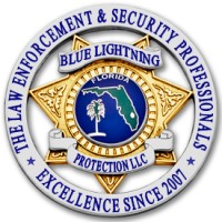 BLUE LIGHTNING PROTECTION logo - Similar company to Towerfox