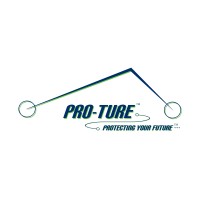 Pro-Ture Consulting Services logo - Similar company to Ceena Tech
