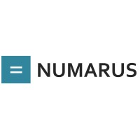 Numarus logo - Similar company to Bae Indonesia