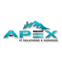 Apex IT solutions & Services Ltd logo - Similar company to Ravio