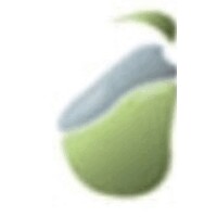 PereraHealth.com logo - Similar company to Yell'O™