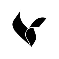 Vurtuo Consulting logo - Similar company to Visoge