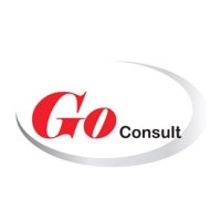 Go Consult Group logo - Similar company to Go-Consult