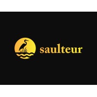 Saulteur logo - Similar company to Confluence Technologies Llc