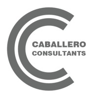 Caballero Consultants logo - Similar company to Wobax